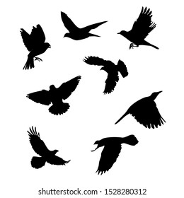 Multiple flying birds in silhouette as vector so can be resized and recoloured 