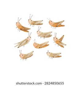 Multiple grasshoppers flying in formation