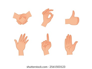 Multiple hand gestures in various positions, vector illustration, on a white background. Concept of communication and expressions. Hands pose.