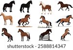Multiple horse breeds are illustrated in various poses, showcasing their beauty and grace in a vibrant and engaging style.