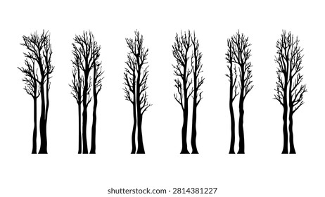 Multiple leafless trees standing in a row against a bright sky, emphasizing winter or autumn scenery with stark, bare branches and natural landscape.