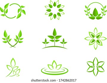 Multiple leaves icons and symbols