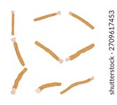 Multiple miswak - siwak - sticks on white background, natural wooden toothbrushes representing traditional oral hygiene, dental care, fresh breath, and cultural wellness rituals