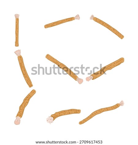 Multiple miswak - siwak - sticks on white background, natural wooden toothbrushes representing traditional oral hygiene, dental care, fresh breath, and cultural wellness rituals