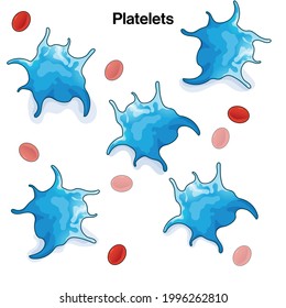 Multiple Platelets with Red blood cells illustration.