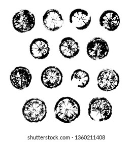 Multiple prints of orange monochrome slicescut oranges. Isolated vector prints of citrus slices. Lemon, lime, sweetie, grapefruit, tangerine. Ink silhouette. Fruit design for postcard, label, print.