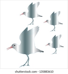Multiple seagulls