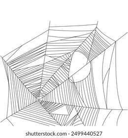 Multiple spider web silhouette. Detailed spider web print for t-shirt, banner, logo design. Spider web picture isolated on white background. Vector illustration