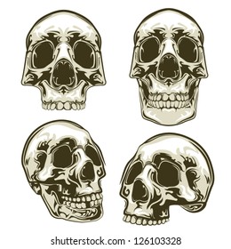 Multiple stylized vector skulls.