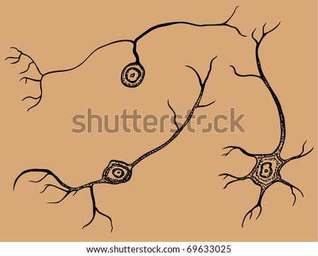 Multipolar, pseudounipolar and bipolar neurons - cells of nervous system. Each decorative neuron on it's own layer.