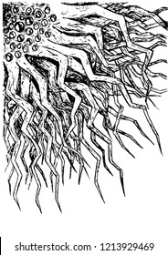 A multi-tentacled, horrible, disgusting dark creature. Hand-drawn. Monster.