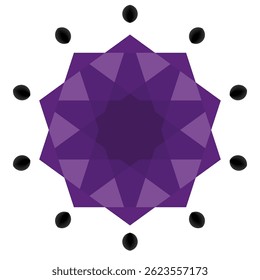 Multi-toned purple flowers are surrounded by black leaves.