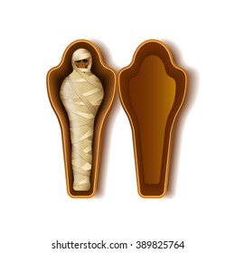 Mummy in sarcophagus isolated on transparent background, photo-realistic vector illustration