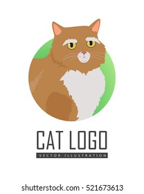 Munchkin cat breed. Cute red short-legged cat with raised tail flat vector illustration isolated on white background. Domestic friend and companion animal. For pet shop ad, hobby concept, breeding