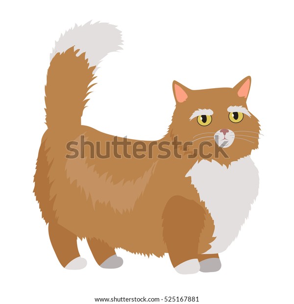 Munchkin Cat Breed Cute Red Shortlegged Stock Vector Royalty Free