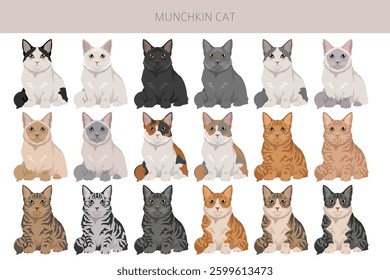 Munchkin Cat clipart. All coat colors set.  All cat breeds characteristics infographic. Vector illustration