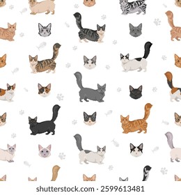 Munchkin Cat clipart. All coat colors set.  All cat breeds characteristics infographic. Vector illustration