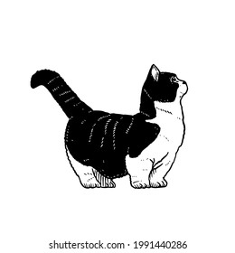Munchkin Cat vector hand drawing illustration in black color isolated on white background