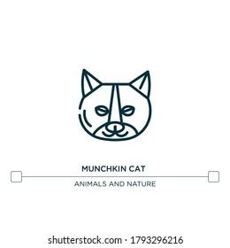 munchkin cat vector line icon. Simple element illustration. munchkin cat outline icon from cat breeds concept. Can be used for web and mobile
