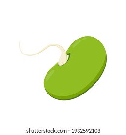Mung Bean vector. Mung Bean on white background.