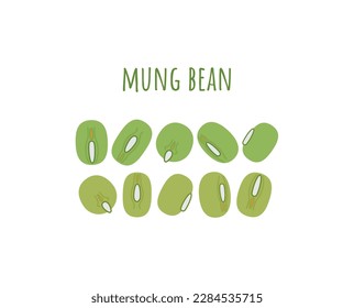 Mung beans. Green, yellow-green peas of Asian beans and an inscription isolated on a white background. Leguminous crop from India. Vector illustration.
