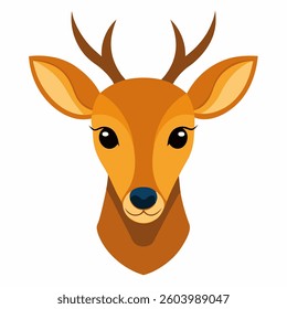Muntjac deer head vector illustration