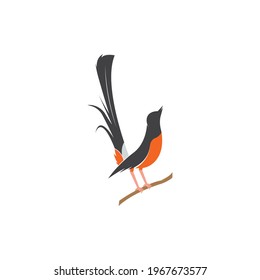 Murai bird illustration logo vector template
