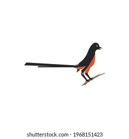 Plantilla vectorial del logotipo de la ilustración de aves de Murai