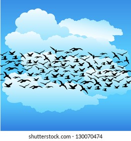 murder of crows