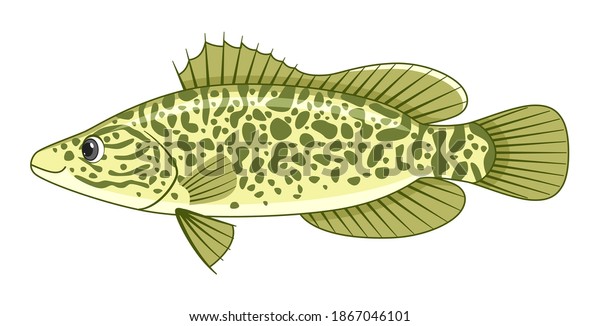 白い背景にタラの魚 カートーンのスタイルのベクターイラスト のベクター画像素材 ロイヤリティフリー