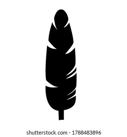 Musa  banana black silhouette palm leaf. vector icon