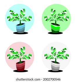Musa Florida banana icon vector with plant pot on white background. Variegated leaf of Florida banana vector.