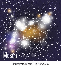 Musca Constellation with Beautiful Bright Stars on the Background of Cosmic Sky Vector Illustration. EPS10