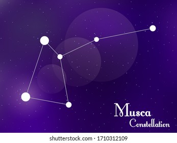 Musca constellation. Starry night sky. Cluster of stars, galaxy. Deep space. Vector illustration