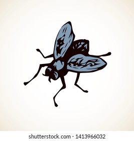 Musca domestica. Big hairy diptera warble hum horsefly on light sky backdrop. Linear dark ink hand drawn pictogram emblem sketchy in art retro scribble style pen on paper space for text. Close up view