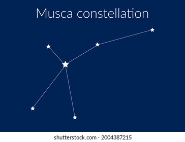 Musca zodiac constellation sign with stars on blue background of cosmic sky. Vector illustration