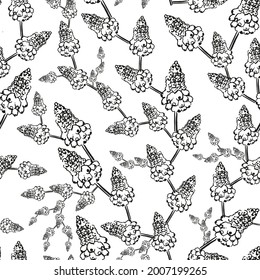 Muscari armeniacum. Flower seamless pattern. Doodle abstract texture. Fabric pattern. Botanical print.