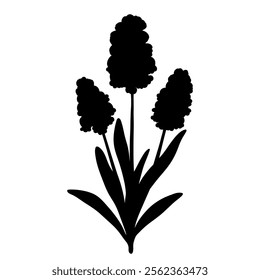 Muscari black silhouette isolated on white. Hand drawn single flower with stem and leaves, stencil style. Vector clipart for spring flowers and springtime illustration, floral design and print.