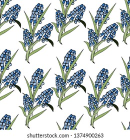 Muscari. Seamless pattern. Vector illustration.