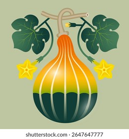 
Calabaza moscatel, calabaza, calabaza de botella con hojas y flores. Ilustración simétrica sobre fondo de oliva para etiqueta o embalaje.