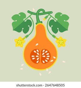 Abóbora moscatel, abóbora, borboleta com folhas e flores. Corte de abóbora, metade de fruta. Ilustração plana simétrica para rótulo ou embalagem.