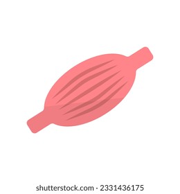 Muscle anatomy icon. Muscle fiber. Vector.