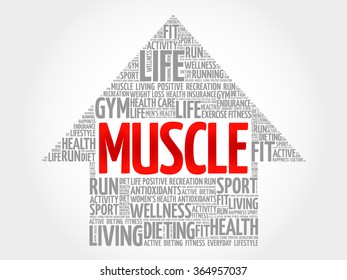 Muscle arrow word cloud, health concept