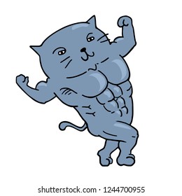 muscle cat draw