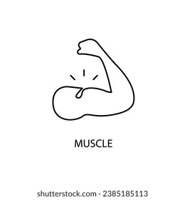 Muscle concept line icon. Simple element illustration.Muscle concept outline symbol design.