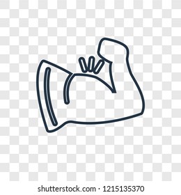 Muscle concept vector linear icon isolated on transparent background, Muscle concept transparency concept in outline style