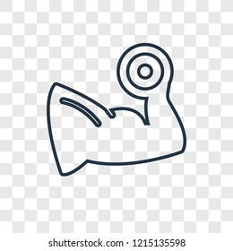 Muscle concept vector linear icon isolated on transparent background, Muscle concept transparency concept in outline style