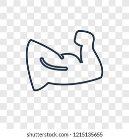 Muscle concept vector linear icon isolated on transparent background, Muscle concept transparency concept in outline style