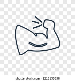 Muscle concept vector linear icon isolated on transparent background, Muscle concept transparency concept in outline style