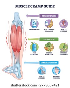 Muscle cramp guide diagram shows calf muscle, water bottle, and stretch icon, conveying causes, prevention, and relief tips for leg spasms. Outline diagram